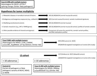 Novel insights into tumorigenesis revealed by molecular analysis of Lynch syndrome cases with multiple colorectal tumors